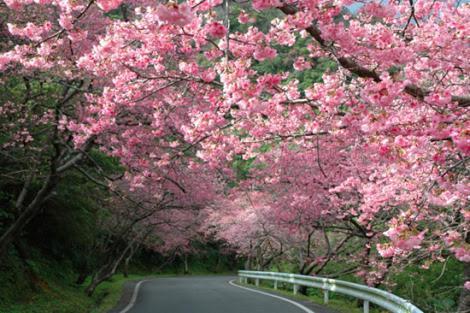 Makai Green นาคิจิน ภายนอก รูปภาพ