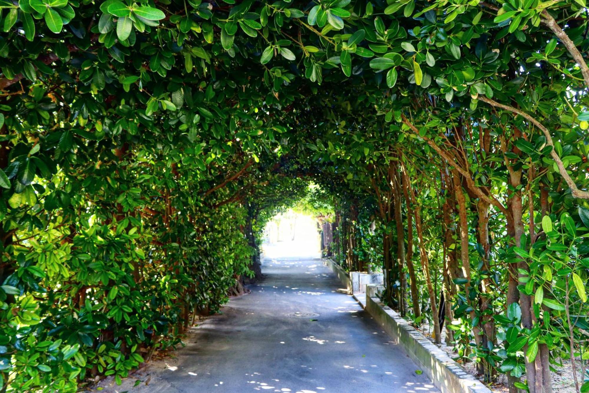 Makai Green นาคิจิน ภายนอก รูปภาพ